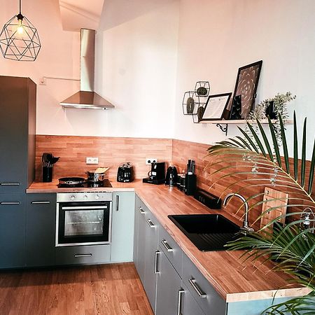 Oasis Appart - Wohnen Im Koenigspark - Elbhang Dresden - Grosse Terrasse - Netflix - Tg Luaran gambar
