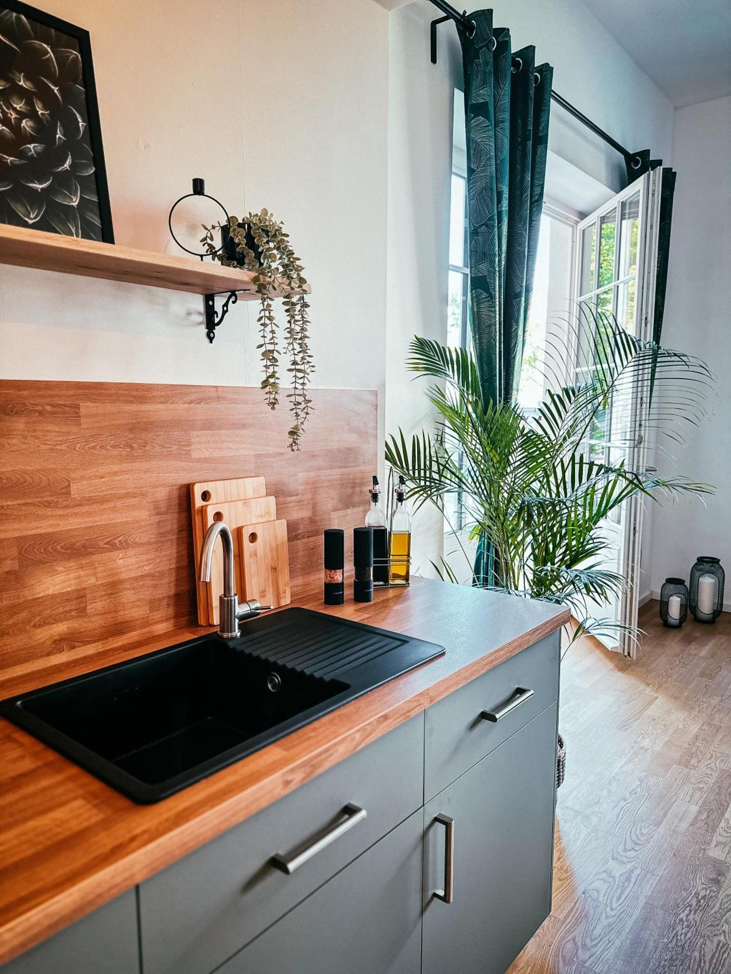 Oasis Appart - Wohnen Im Koenigspark - Elbhang Dresden - Grosse Terrasse - Netflix - Tg Luaran gambar